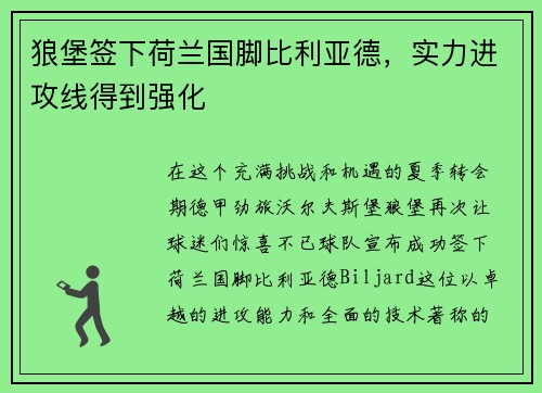 狼堡签下荷兰国脚比利亚德，实力进攻线得到强化